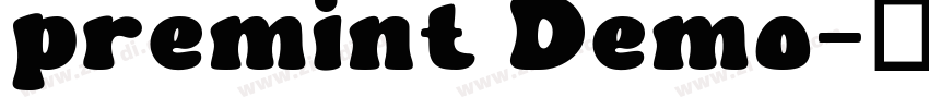 premint Demo字体转换